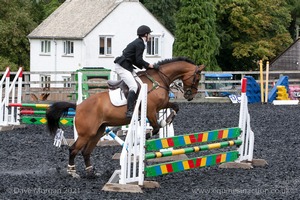 Class 6 - Fences not above 2'9